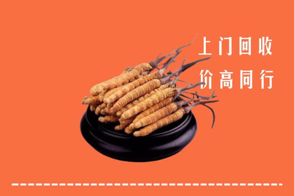 高价求购：抚州回收散虫草