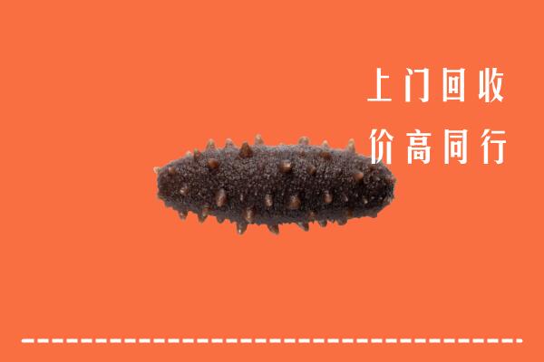 抚州高价回收海参